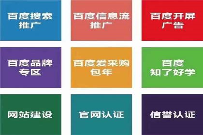 竞价推广中的着陆页策略：成功案例解读